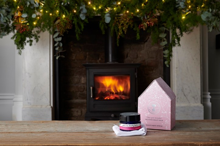 8804 Wild Rose Beauty Balm House Landscape 1 LoRes