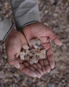 45378052_290273768270811_2227937290479578077_n