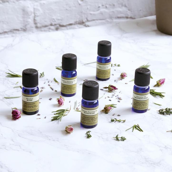 50642796_1982410758730450_7320879190401782502_n